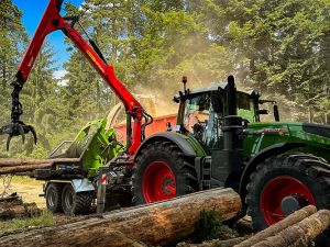 kranbeschickte holzhackmaschinen 9