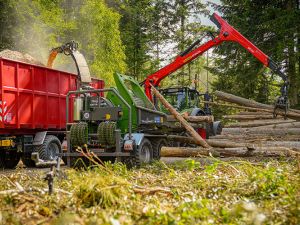kranbeschickte holzhackmaschinen 11